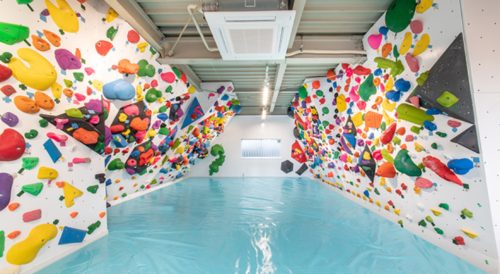 宮城県のクライミング施設「ボルダリング教室BOLZ（ボルズ） 中野栄店」